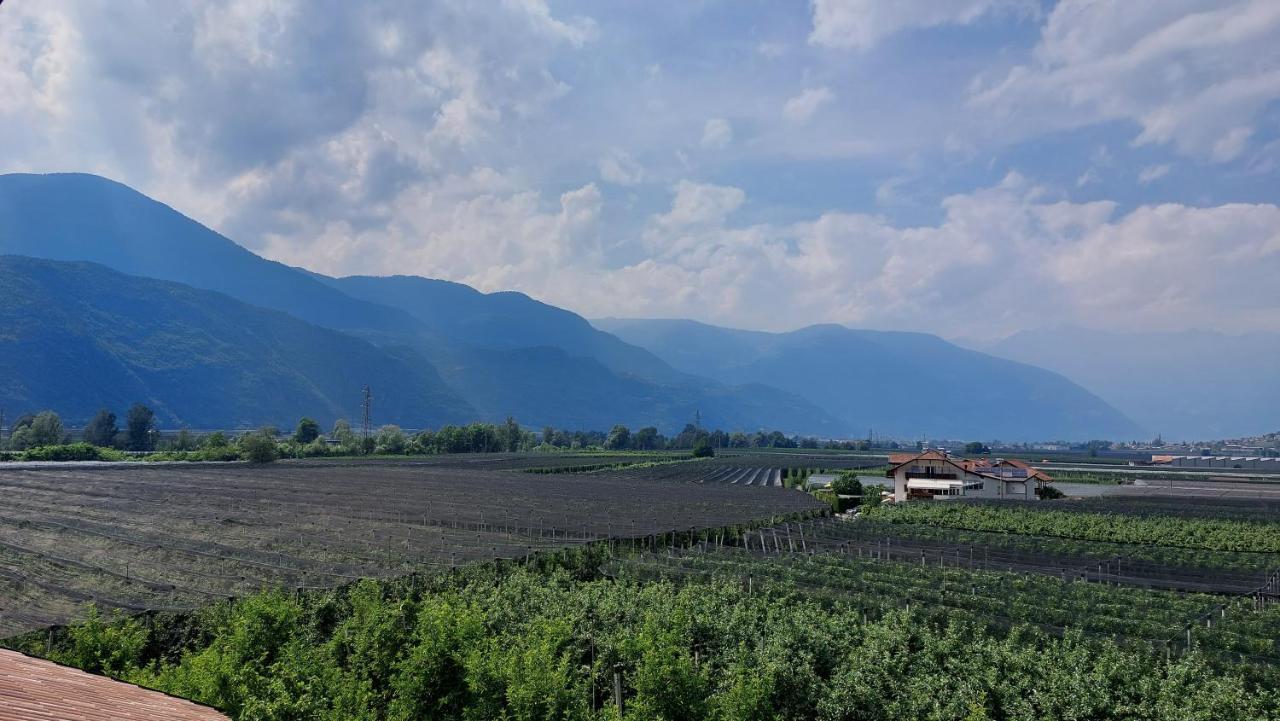 Mittelbergerhof Ferienwohnungen Vilpiano Zewnętrze zdjęcie